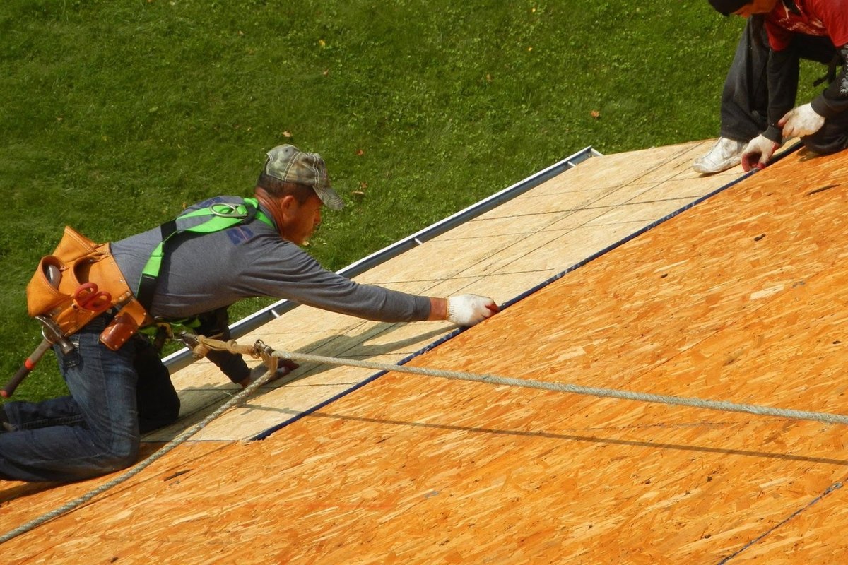 Two roofers in safety harnesses laying plywood decking along a metal roof edge