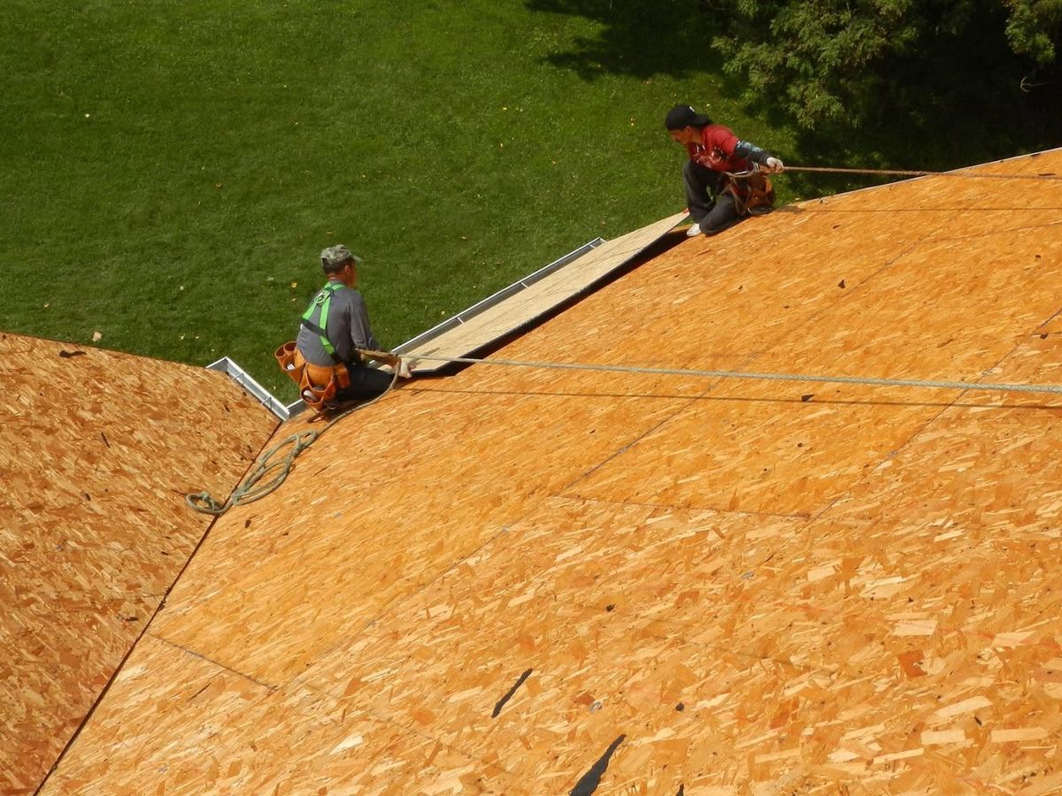 Wide view down a steep orange OSB plywood roof deck with two roofers sitting at the eave edge on ropes
